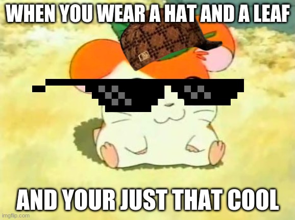 SNOOOOOP DOGGGGGGG | WHEN YOU WEAR A HAT AND A LEAF; AND YOUR JUST THAT COOL | image tagged in memes,hamtaro | made w/ Imgflip meme maker