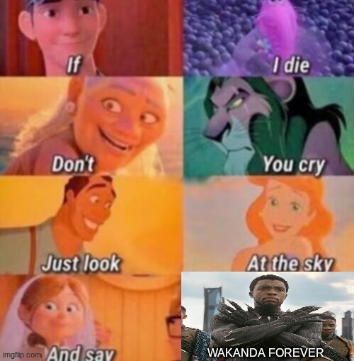 If I Die | WAKANDA FOREVER | image tagged in if i die | made w/ Imgflip meme maker