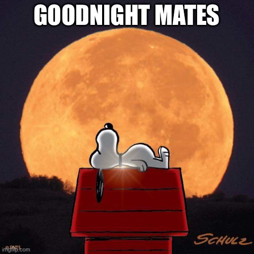 Night | GOODNIGHT MATES | image tagged in goodnight | made w/ Imgflip meme maker