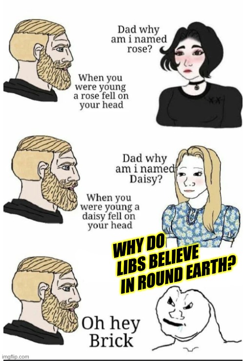 oh hey brick | WHY DO LIBS BELIEVE IN ROUND EARTH? | image tagged in oh hey brick,round earth,flat earth,conspiracy theory,stupid liberals,conservative logic | made w/ Imgflip meme maker