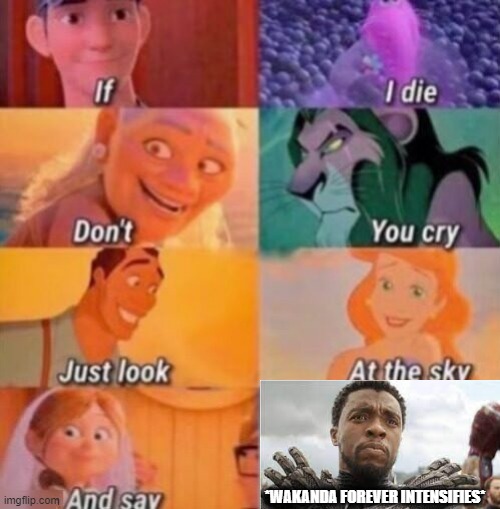 If I Die | *WAKANDA FOREVER INTENSIFIES* | image tagged in if i die | made w/ Imgflip meme maker