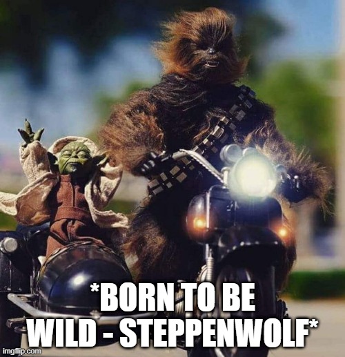 You Can Hear It In Your Head | *BORN TO BE WILD - STEPPENWOLF* | image tagged in yoda chewy | made w/ Imgflip meme maker