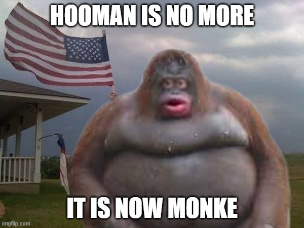 hooman | HOOMAN IS NO MORE; IT IS NOW MONKE | image tagged in memes | made w/ Imgflip meme maker