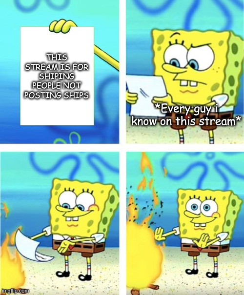 _>_ DUDE (Mod Note: Please try to be kinder Bb ^^) | THIS STREAM IS FOR SHIPING PEOPLE NOT POSTING SHIPS; *Every guy i know on this stream* | image tagged in spongebob burning paper | made w/ Imgflip meme maker