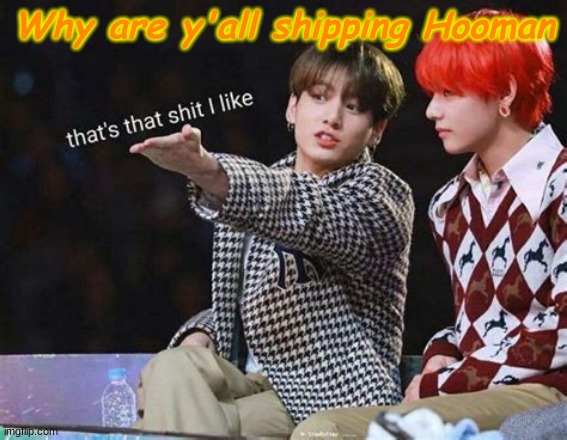 Why are y'all shipping Hooman | image tagged in shit post status,why u readin dis,never gonna give you up,never gonna let you down,never gonna run around | made w/ Imgflip meme maker