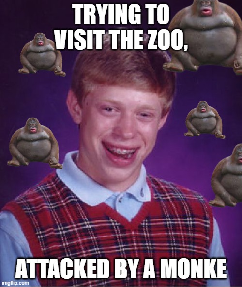 monke 5 | TRYING TO VISIT THE ZOO, ATTACKED BY A MONKE | image tagged in memes,bad luck brian | made w/ Imgflip meme maker