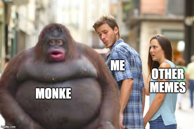 me, monke, memes | ME; OTHER MEMES; MONKE | image tagged in memes,monke | made w/ Imgflip meme maker