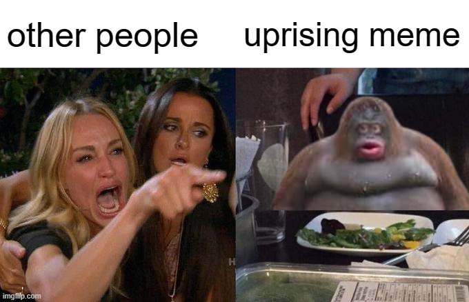 monke | other people; uprising meme | image tagged in memes,woman yelling at cat | made w/ Imgflip meme maker