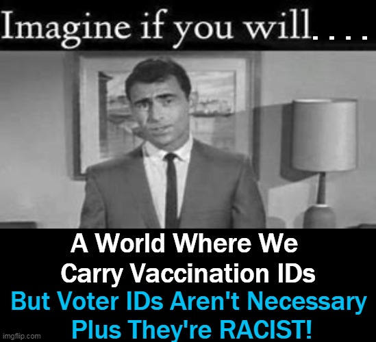 We Have Entered 'The Twilight Zone' | . . . . A World Where We 
Carry Vaccination IDs; But Voter IDs Aren't Necessary 
Plus They're RACIST! | image tagged in political meme,democrats,party of vote fraud,vaccine id,partisan politics,craziness_all_the_way | made w/ Imgflip meme maker