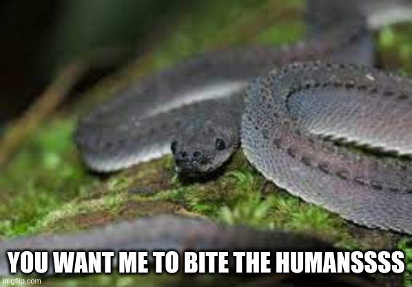 YOU WANT ME TO BITE THE HUMANSSSS | made w/ Imgflip meme maker