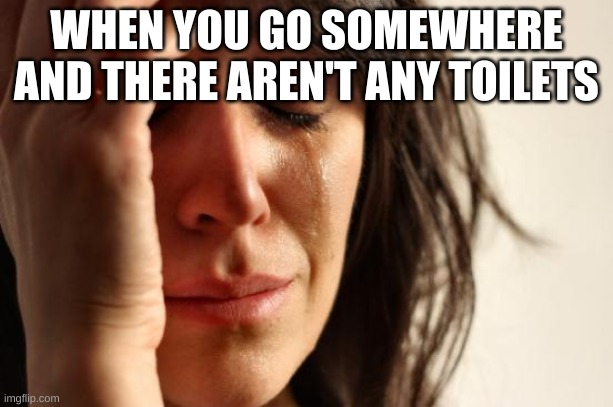 it's sad | WHEN YOU GO SOMEWHERE AND THERE AREN'T ANY TOILETS | image tagged in memes,first world problems | made w/ Imgflip meme maker