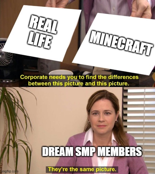 They are the same picture | REAL LIFE; MINECRAFT; DREAM SMP MEMBERS | image tagged in they are the same picture | made w/ Imgflip meme maker