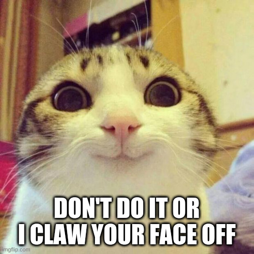 Smiling Cat Meme | DON'T DO IT OR I CLAW YOUR FACE OFF | image tagged in memes,smiling cat | made w/ Imgflip meme maker