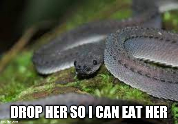 DROP HER SO I CAN EAT HER | made w/ Imgflip meme maker
