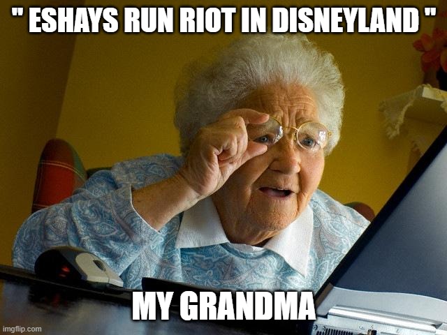 Grandma Finds The Internet | " ESHAYS RUN RIOT IN DISNEYLAND "; MY GRANDMA | image tagged in memes,grandma finds the internet,eshays,expanding brain,australia | made w/ Imgflip meme maker
