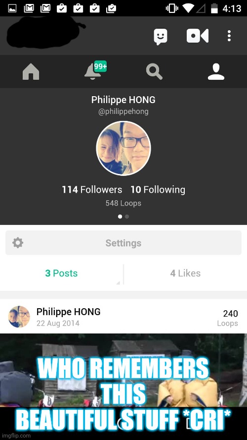 *crys* | WHO REMEMBERS THIS BEAUTIFUL STUFF *CRI* | image tagged in vine is gone | made w/ Imgflip meme maker