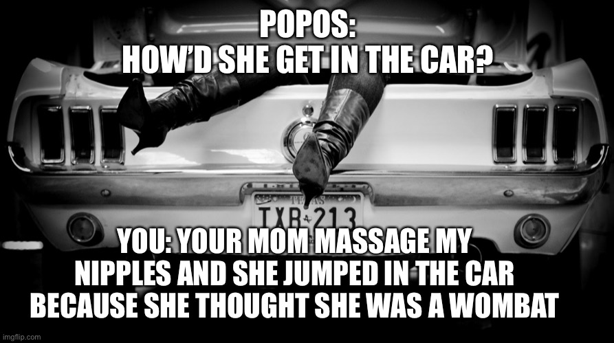 Mom, Wombat, Car | POPOS:
HOW’D SHE GET IN THE CAR? YOU: YOUR MOM MASSAGE MY NIPPLES AND SHE JUMPED IN THE CAR BECAUSE SHE THOUGHT SHE WAS A WOMBAT | image tagged in the hooker in the trunk of my car | made w/ Imgflip meme maker