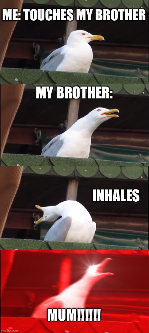 Anyone have a brother like this | ME: TOUCHES MY BROTHER; MY BROTHER:; INHALES; MUM!!!!!! | image tagged in memes,inhaling seagull | made w/ Imgflip meme maker