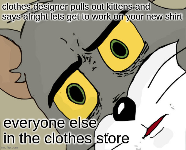 Unsettled Tom Meme | clothes designer pulls out kittens and says alright lets get to work on your new shirt everyone else in the clothes store | image tagged in memes,unsettled tom | made w/ Imgflip meme maker
