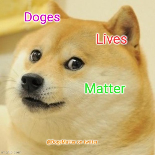 Doge Lives Matter | Doges; Lives; Matter; @DogeMatter on twitter | image tagged in memes,doge | made w/ Imgflip meme maker