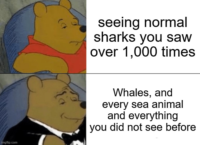 Tuxedo Winnie The Pooh Meme | seeing normal sharks you saw over 1,000 times; Whales, and every sea animal and everything you did not see before | image tagged in memes,tuxedo winnie the pooh | made w/ Imgflip meme maker
