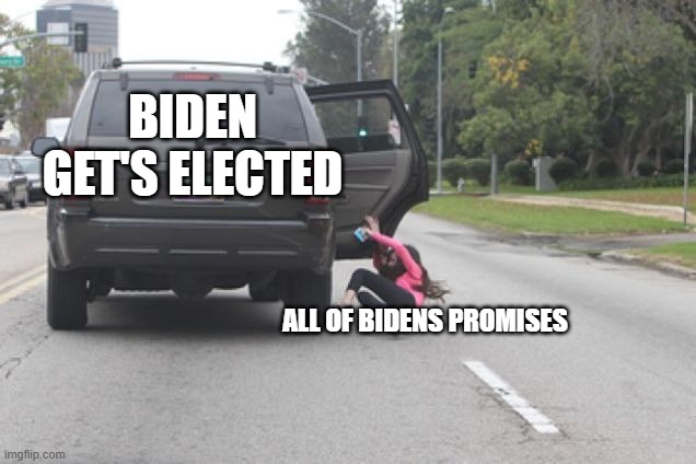 Kicked Out of Car | BIDEN GET'S ELECTED; ALL OF BIDENS PROMISES | image tagged in kicked out of car | made w/ Imgflip meme maker