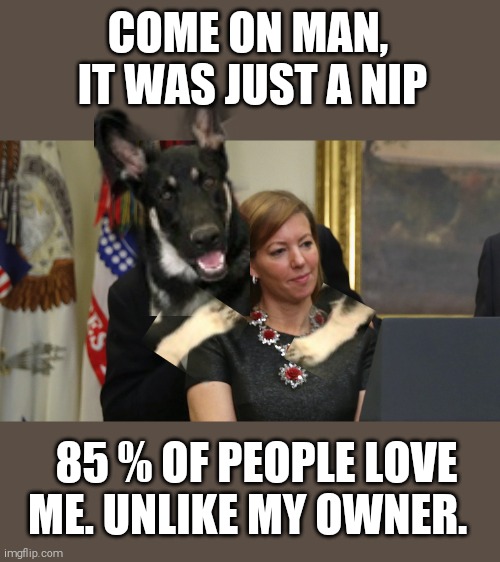 Sorry, I couldn't resist.  ;) | COME ON MAN,  IT WAS JUST A NIP; 85 % OF PEOPLE LOVE ME. UNLIKE MY OWNER. | image tagged in major payne,first,dog | made w/ Imgflip meme maker
