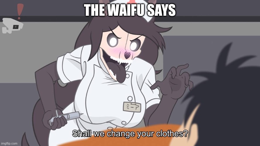 imma bout to end Mal0's whole career | THE WAIFU SAYS | image tagged in imma bout to end mal0's whole career | made w/ Imgflip meme maker