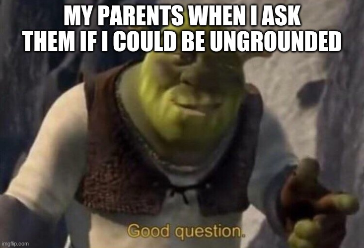 Shrek good question | MY PARENTS WHEN I ASK THEM IF I COULD BE UNGROUNDED | image tagged in shrek good question | made w/ Imgflip meme maker