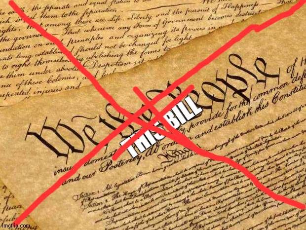 Its unconstitutional |  THIS BILL | image tagged in constitution,attack | made w/ Imgflip meme maker