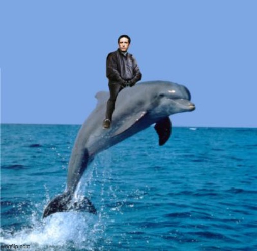 Trent Reznor's Imaginary Porpoise | image tagged in trent reznor's imaginary porpoise | made w/ Imgflip meme maker