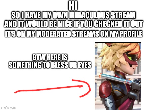 Please do check it out | HI; SO I HAVE MY OWN MIRACULOUS STREAM AND IT WOULD BE NICE IF YOU CHECKED IT OUT; IT'S ON MY MODERATED STREAMS ON MY PROFILE; BTW HERE IS SOMETHING TO BLESS UR EYES | image tagged in blank white template | made w/ Imgflip meme maker