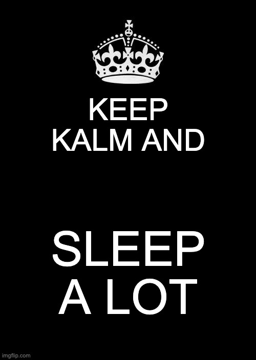 Keep Calm And Carry On Black |  KEEP KALM AND; SLEEP A LOT | image tagged in memes,keep calm and carry on black | made w/ Imgflip meme maker