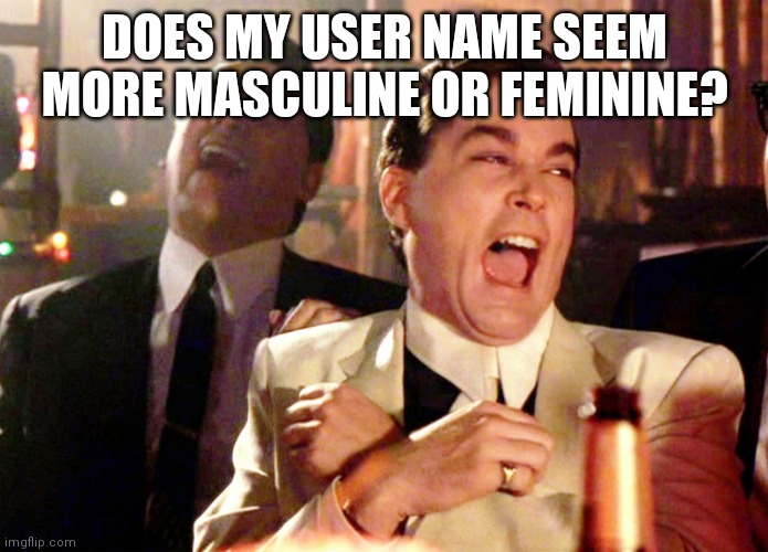Good Fellas Hilarious | DOES MY USER NAME SEEM MORE MASCULINE OR FEMININE? | image tagged in memes,good fellas hilarious | made w/ Imgflip meme maker