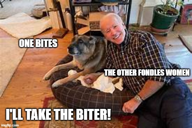 Major and Biden | ONE BITES; THE OTHER FONDLES WOMEN; I'LL TAKE THE BITER! | image tagged in major and biden | made w/ Imgflip meme maker