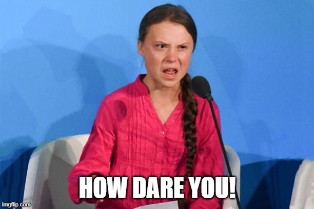 Greta how dare you | HOW DARE YOU! | image tagged in greta how dare you | made w/ Imgflip meme maker