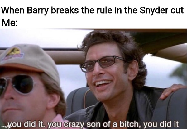 The Flash | Me:; When Barry breaks the rule in the Snyder cut | image tagged in you crazy son of a bitch you did it,barry allen,the flash,justice league,zack snyder | made w/ Imgflip meme maker
