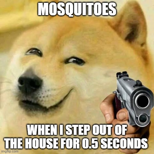 Asians will relate | MOSQUITOES; WHEN I STEP OUT OF THE HOUSE FOR 0.5 SECONDS | image tagged in gun with smile doge | made w/ Imgflip meme maker