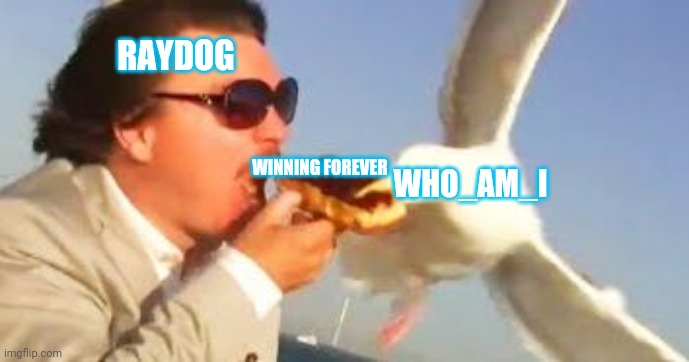 swiping seagull | RAYDOG; WINNING FOREVER; WHO_AM_I | image tagged in swiping seagull | made w/ Imgflip meme maker