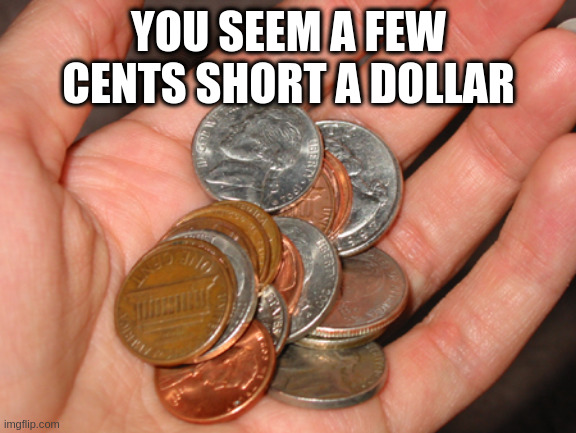 classic clean insult comeback | YOU SEEM A FEW CENTS SHORT A DOLLAR | image tagged in common cents | made w/ Imgflip meme maker