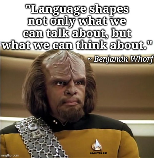 Klingon | "Language shapes not only what we can talk about, but what we can think about." ~ Benjamin Whorf (NO, NOT THIS ONE) | image tagged in klingon | made w/ Imgflip meme maker