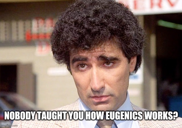 Eugene Levy Vacation | NOBODY TAUGHT YOU HOW EUGENICS WORKS? | image tagged in eugene levy vacation | made w/ Imgflip meme maker