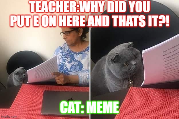 Woman showing paper to cat | TEACHER:WHY DID YOU PUT E ON HERE AND THATS IT?! CAT: MEME | image tagged in woman showing paper to cat | made w/ Imgflip meme maker