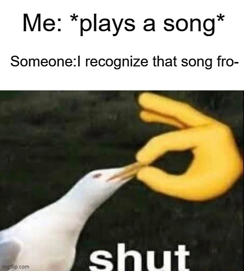 SHUT | Me: *plays a song*; Someone:I recognize that song fro- | image tagged in shut,tiktok,song,memes | made w/ Imgflip meme maker