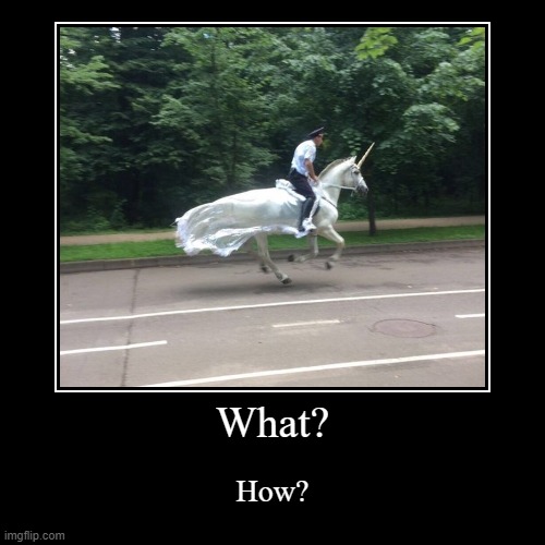 What? How did that person got that unicorn? That's impossible/Not possible! | image tagged in funny,demotivationals,memes,impossible | made w/ Imgflip demotivational maker