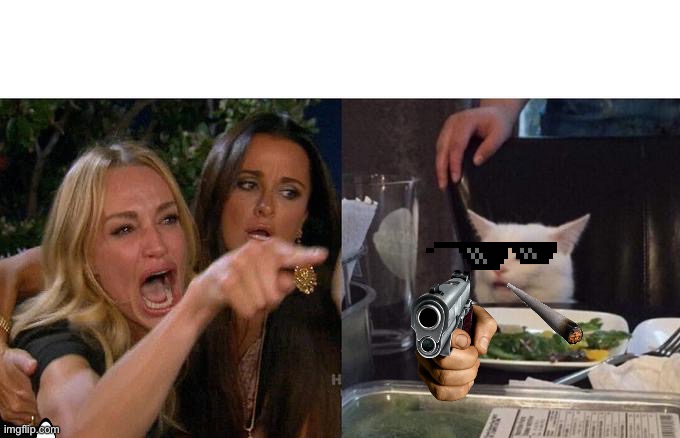 Woman Yelling At Cat Meme | image tagged in memes,woman yelling at cat | made w/ Imgflip meme maker