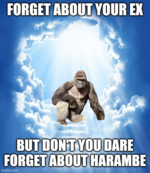 Harambe |  FORGET ABOUT YOUR EX; BUT DON'T YOU DARE FORGET ABOUT HARAMBE | image tagged in harambe,dicksoutforharambe,legendary,never forget | made w/ Imgflip meme maker