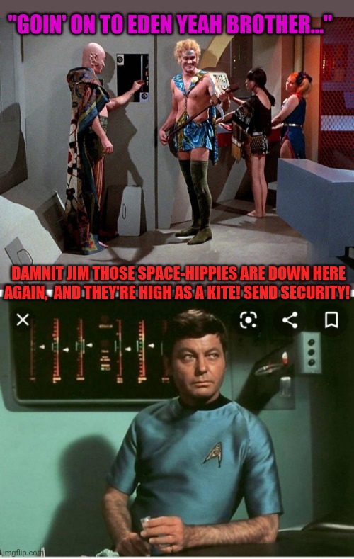 Space Hippies | "GOIN' ON TO EDEN YEAH BROTHER..."; DAMNIT JIM THOSE SPACE-HIPPIES ARE DOWN HERE AGAIN,  AND THEY'RE HIGH AS A KITE! SEND SECURITY! | image tagged in star trek,original,television series,bones | made w/ Imgflip meme maker