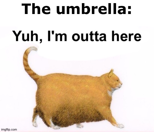 Yuh, I'm outta here | The umbrella: | image tagged in yuh i'm outta here | made w/ Imgflip meme maker