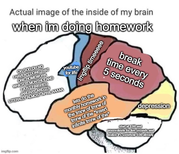 always, like literally anyone can relate? | when im doing homework; break time every 5 seconds; OH GOD OH NO I HAVEN'T DONE THAT ONE HOMEWORK WHICH IS MONTHLY AND I JUST FINISHED JANUARY AND ITS LITERALLY ALMOST APRIL AAAAA; imgflip timeeeee; youtube for life; lets do the monthly homework in the tmrw of tmrw of tmrw of the *insert infinite tmrw of the*; depression; start at 1:00 and procrastinate for five seconds and realize it's somehow 5:00 already | image tagged in actual image of the inside of my brain | made w/ Imgflip meme maker